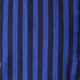 Indigo Stripe