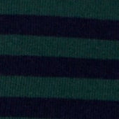 Bay Green & Ink Stripe