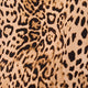 Leopard Print