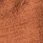 Pecan