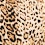 Leopard Print