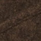 Dark Fern