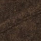 Dark Fern