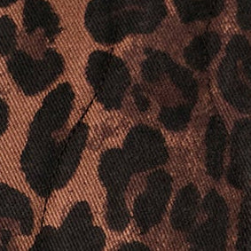 Dark Leopard