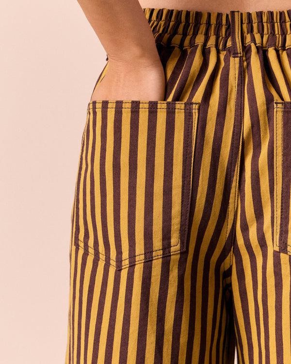 model wear tavi saffron and chocolate stripe jeans