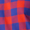 Red & Blue Check