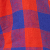 Red & Blue Check